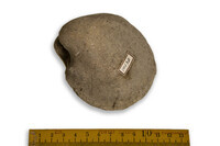 F 10138
<br/>
<br/>
<em></em>